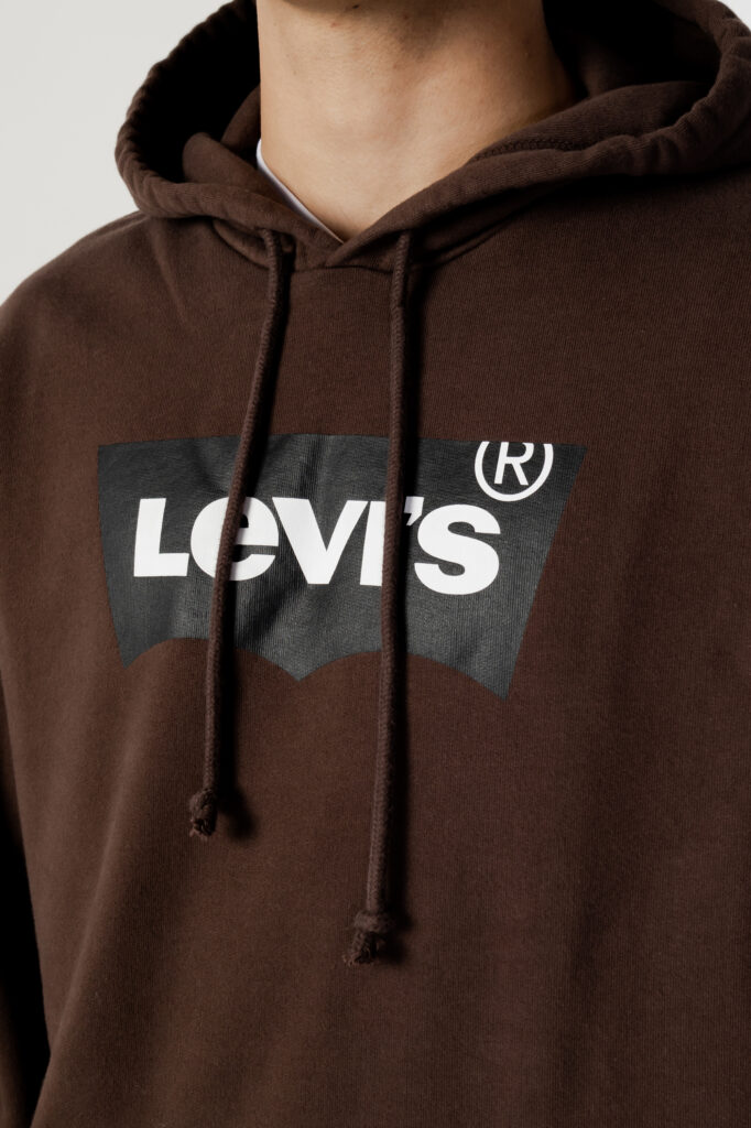 Felpa con cappuccio Levi’s® standard graphic hoodie bw ssnl Marrone