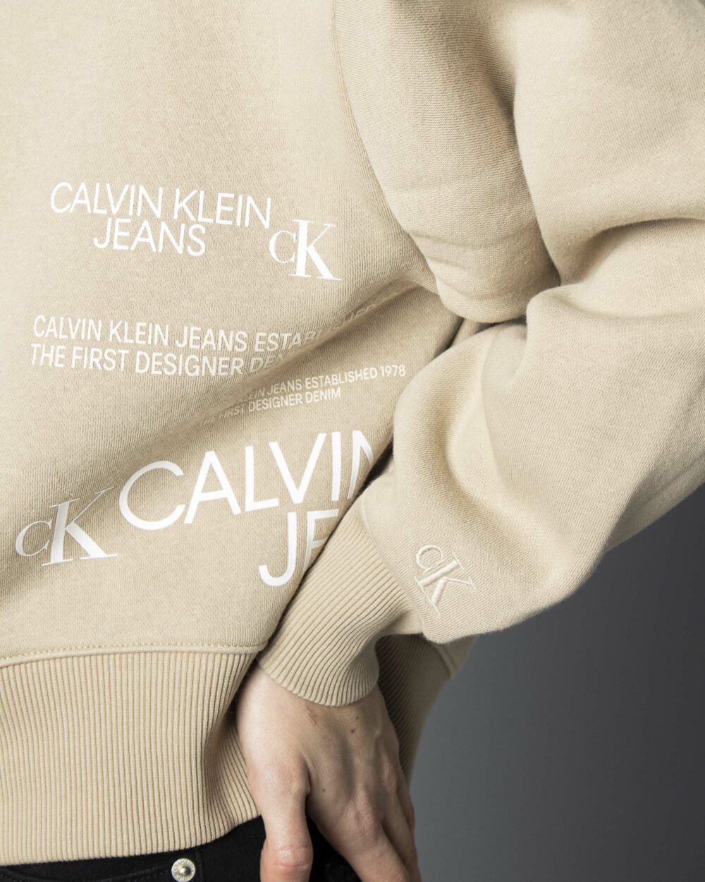 Felpa senza cappuccio Calvin Klein Jeans Beige - Foto 3