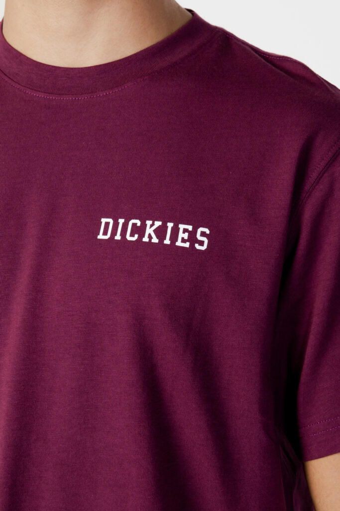 T-shirt Dickies cleveland tee ss Bordeaux