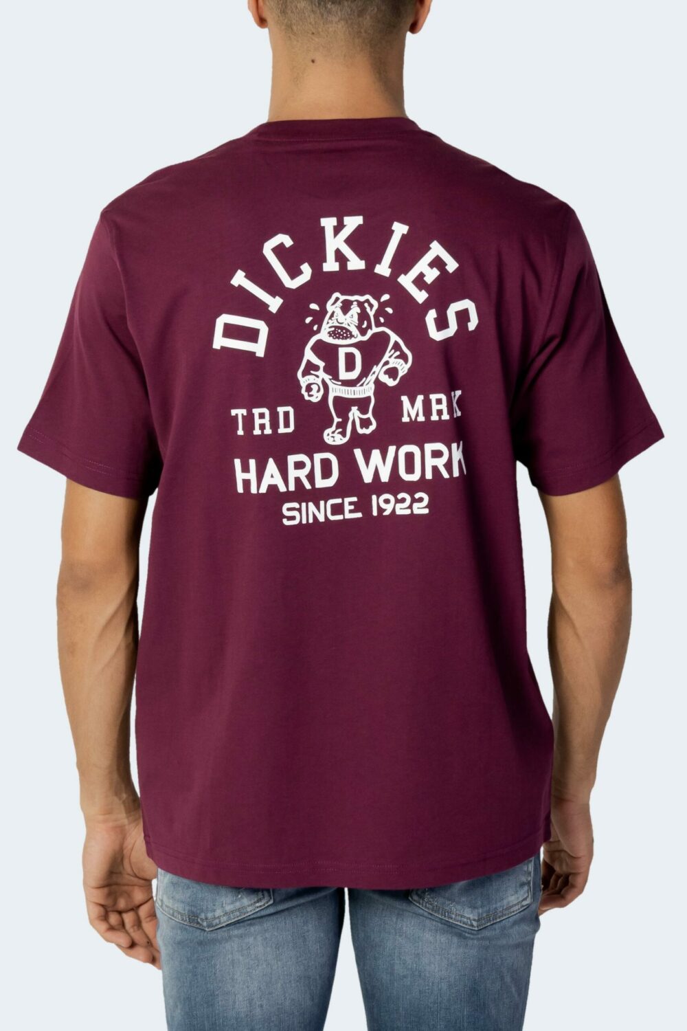 T-shirt Dickies Bordeaux - Foto 4