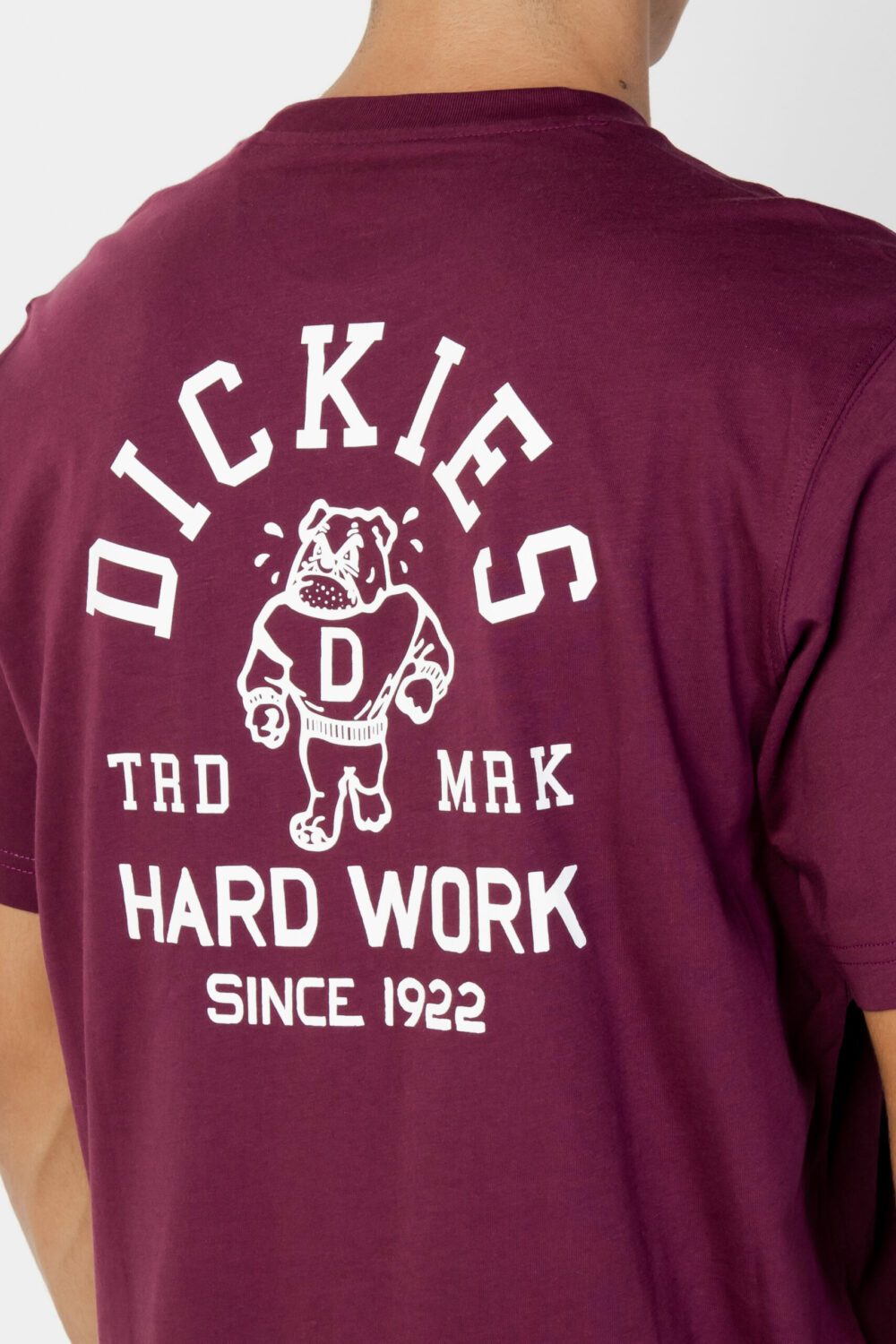 T-shirt Dickies Bordeaux - Foto 5