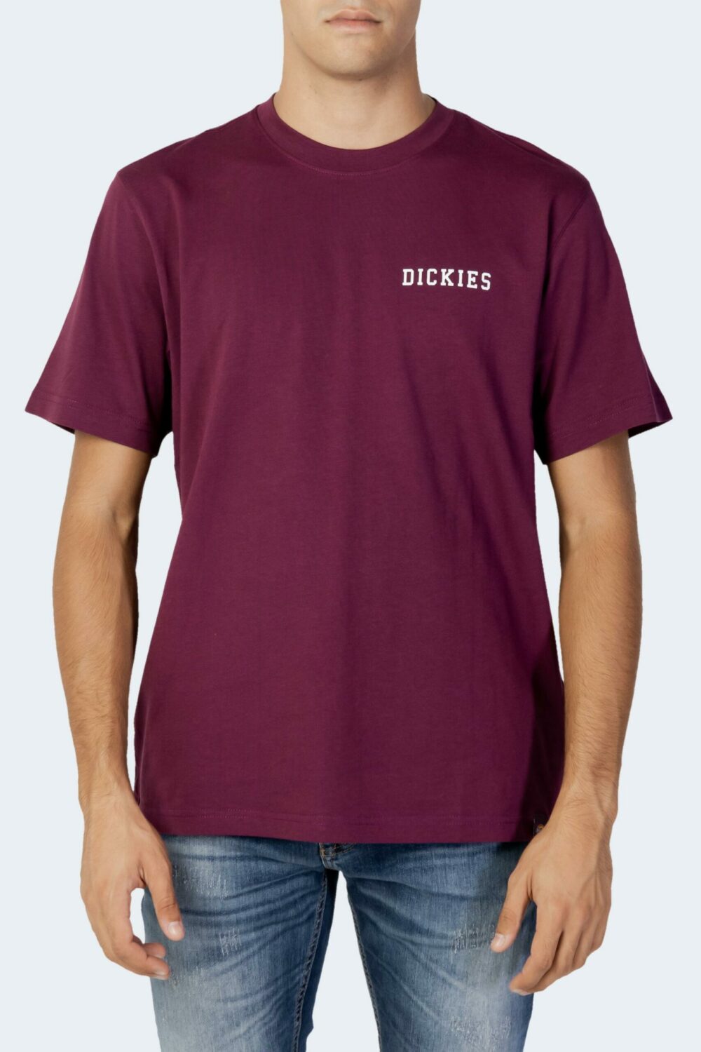 T-shirt Dickies Bordeaux - Foto 6