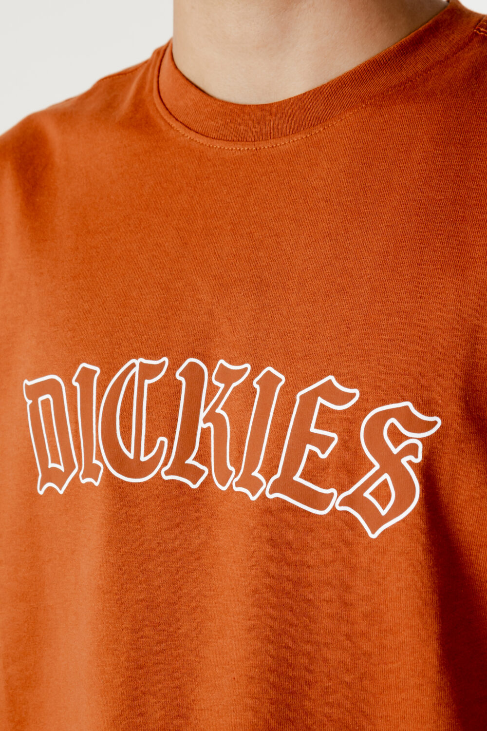 T-shirt Dickies Ruggine - Foto 2
