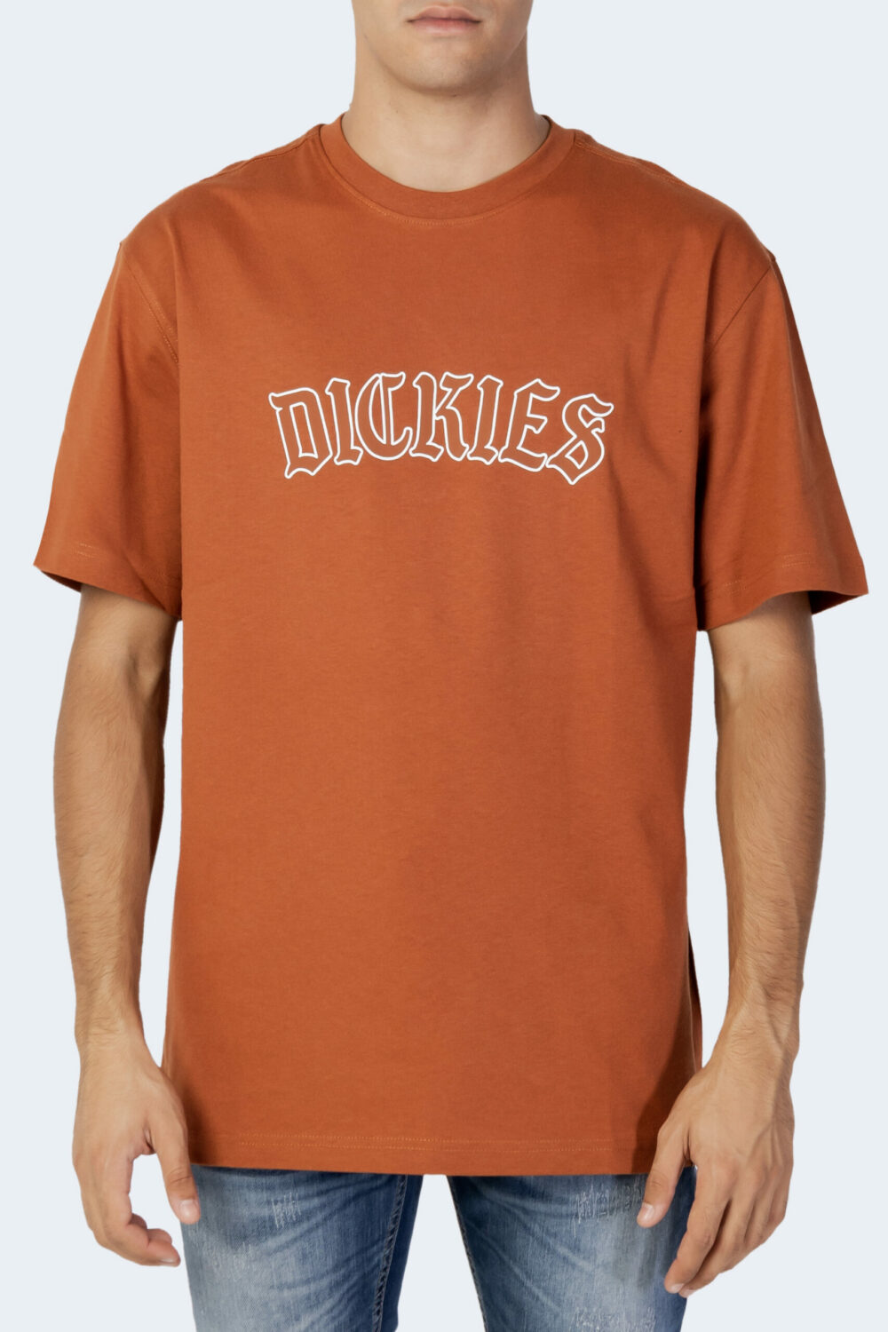 T-shirt Dickies Ruggine - Foto 5