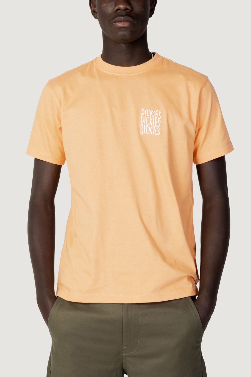 T-shirt Dickies creswell tee ss Arancione - Foto 1