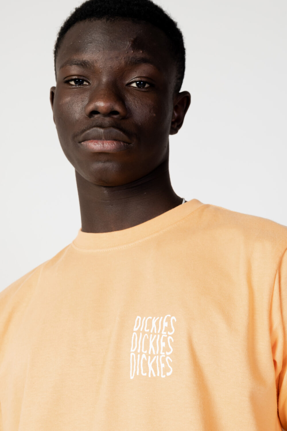 T-shirt Dickies creswell tee ss Arancione - Foto 2