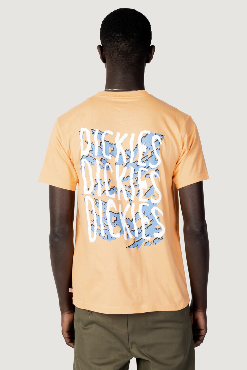 T-shirt Dickies creswell tee ss Arancione - Foto 3