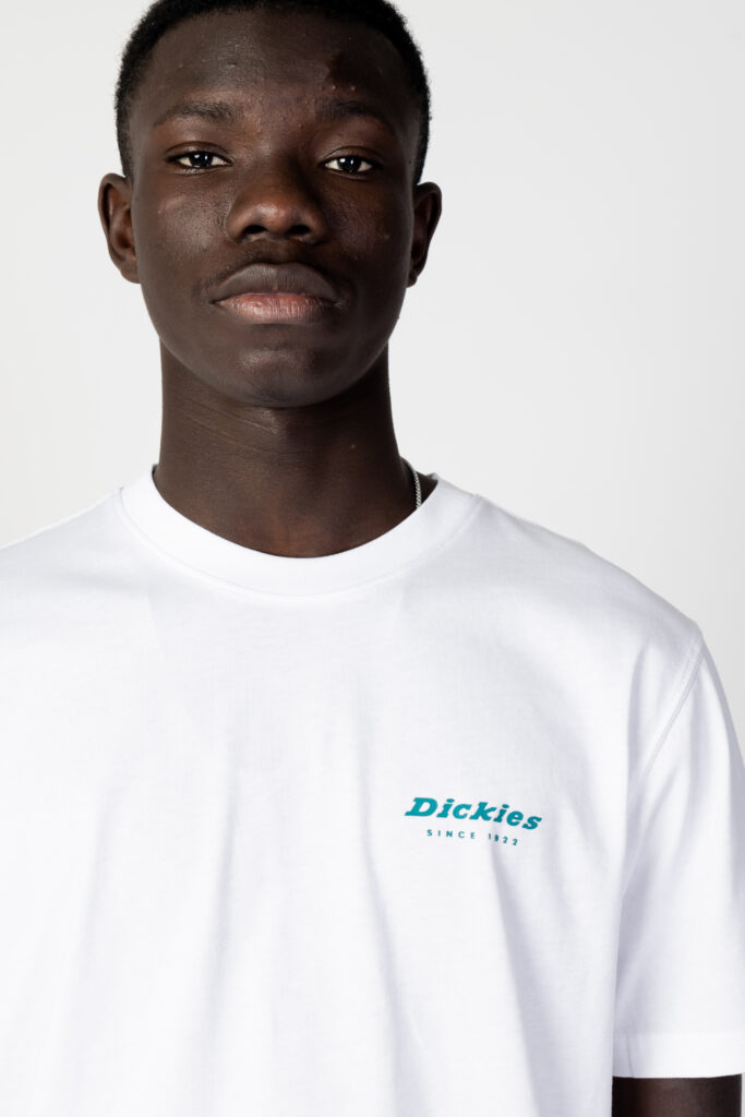 T-shirt Dickies leesburg box tee ss Bianco