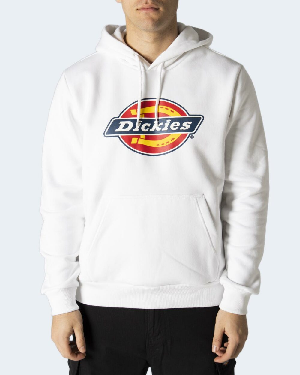 Felpa con cappuccio Dickies icon logo hoodie Bianco - Foto 1
