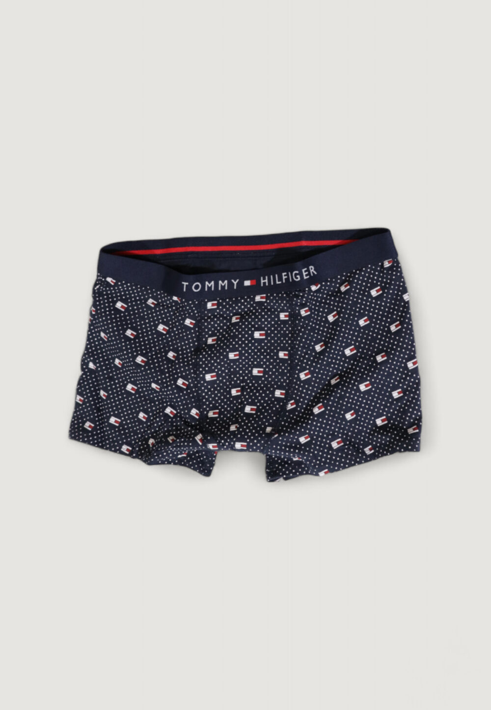 Slip Tommy Hilfiger Blu - Foto 2