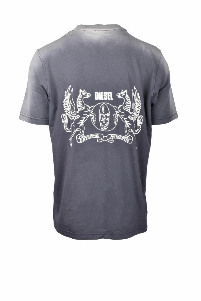 T-shirt Diesel tshirt Grigio