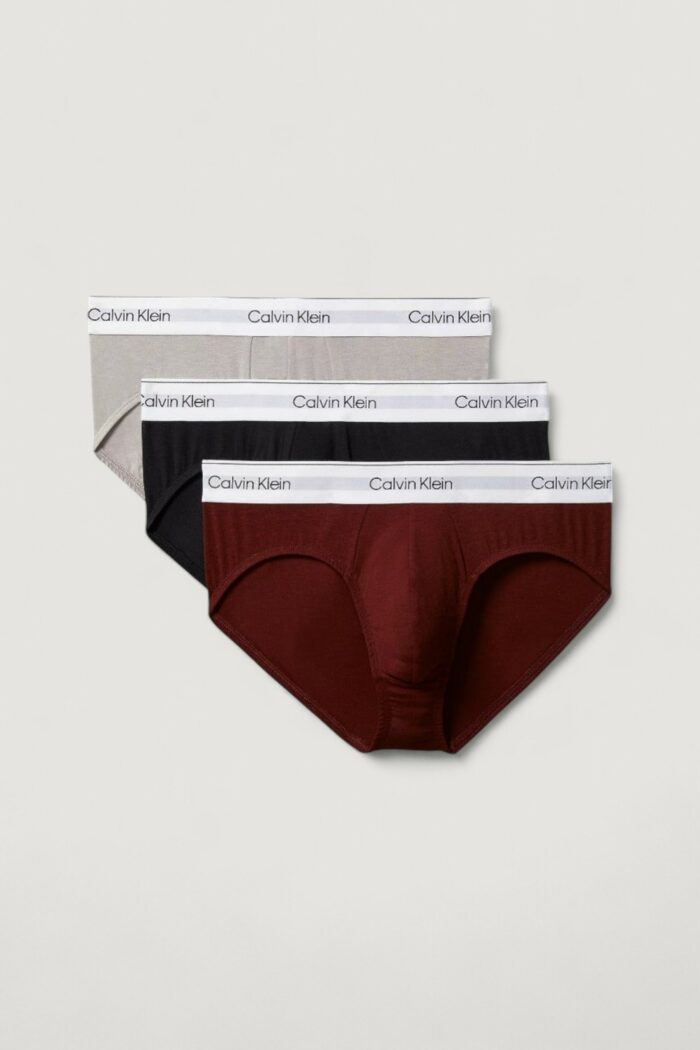 Slip Calvin Klein Underwear hip brief 3pk Bordeaux