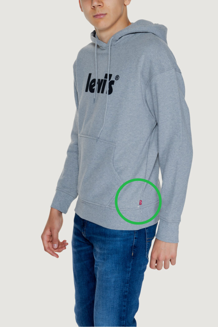 Felpa con cappuccio Levi’s® relaxed graphic poster | seconda scelta Grigio