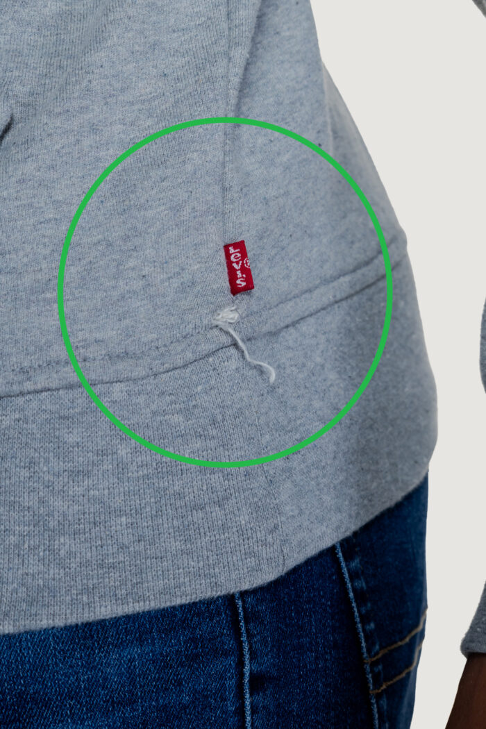 Felpa con cappuccio Levi’s® relaxed graphic poster | seconda scelta Grigio