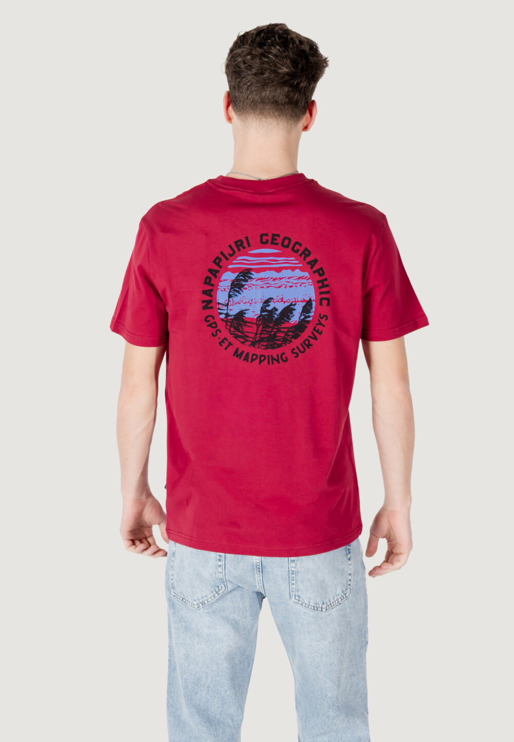 T-shirt Napapijri s-vignoni back ss Bordeaux - Foto 4