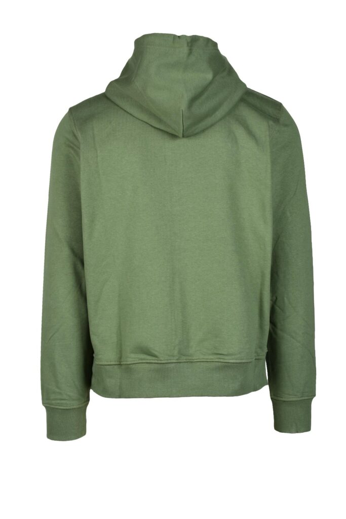 Felpa con cappuccio Diesel  Verde