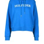Felpa con cappuccio Tommy Hilfiger Azzurro - Foto 1