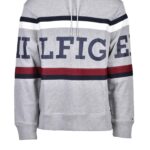 Felpa con cappuccio Tommy Hilfiger Grigio - Foto 1