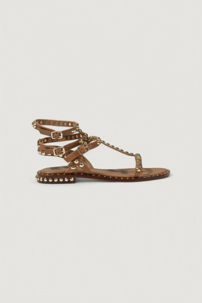 Sandali ASH  Beige scuro