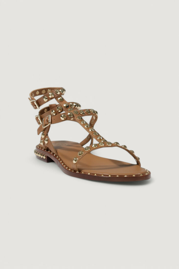Sandali ASH  Beige scuro