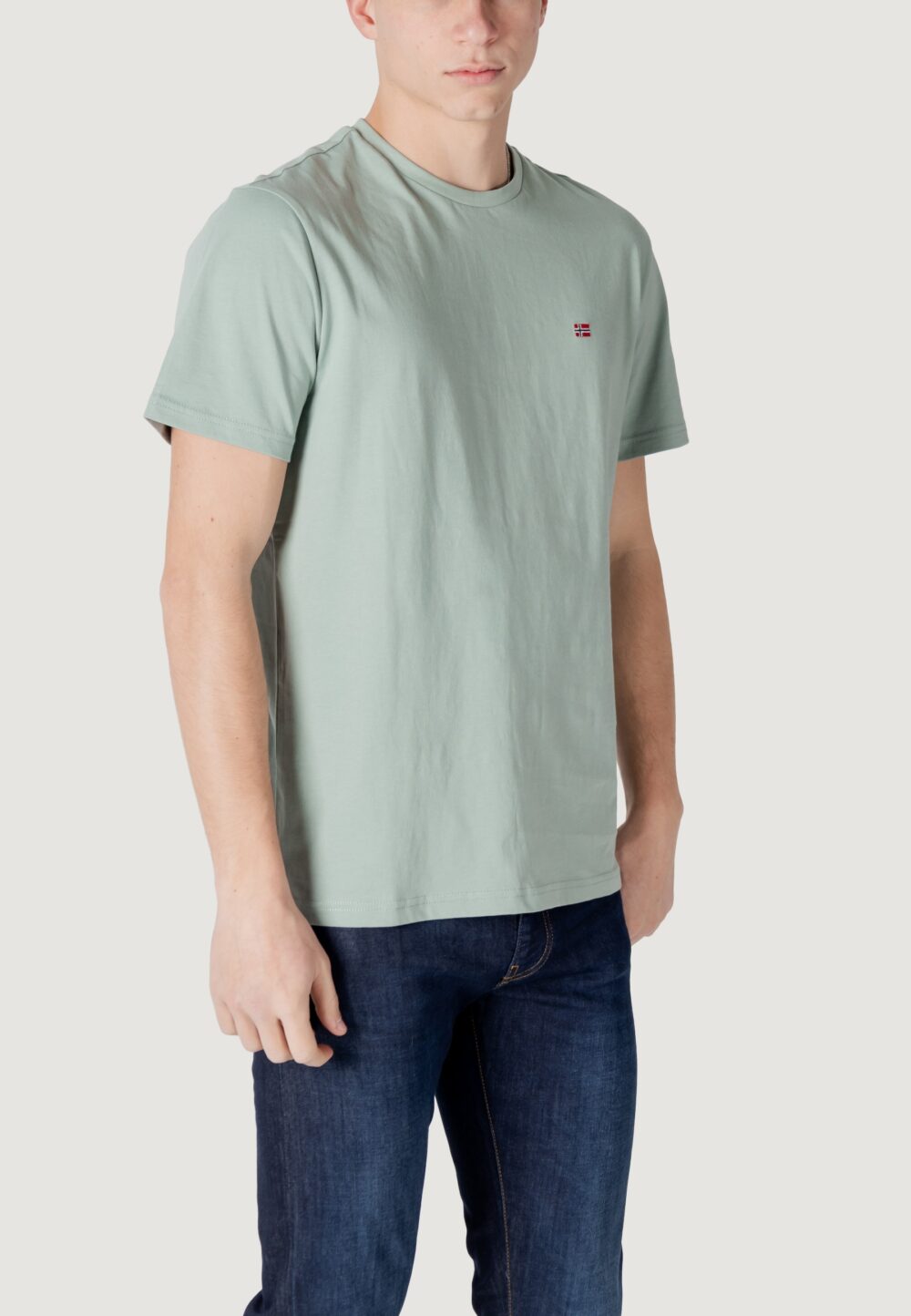 T-shirt Napapijri salis ss sum VERDE SALVIA - Foto 3