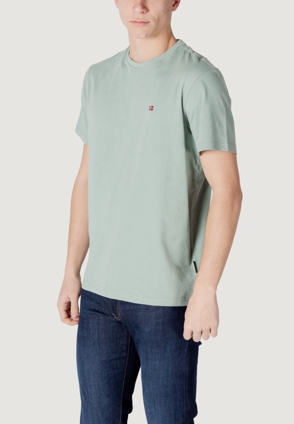 T-shirt Napapijri salis ss sum VERDE SALVIA - Foto 4