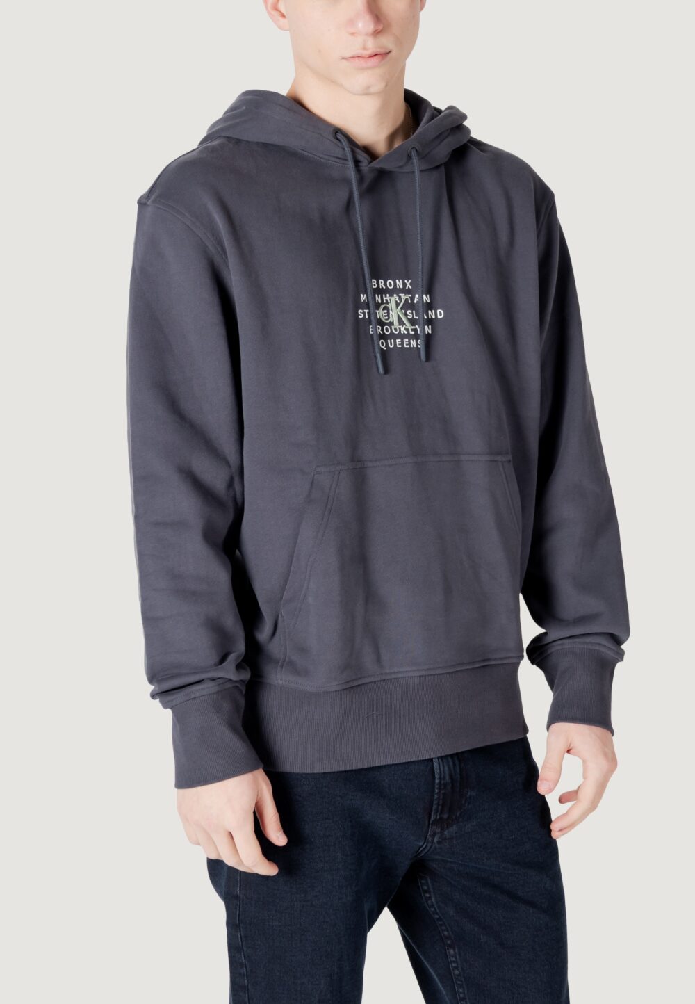 Felpa con cappuccio Calvin Klein Jeans nyc stamp graphic ho Antracite - Foto 3