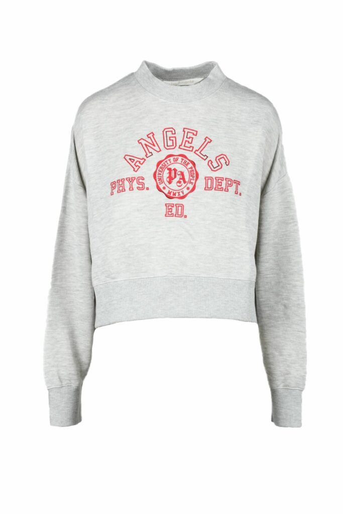 Felpa PALM ANGELS  Grigio
