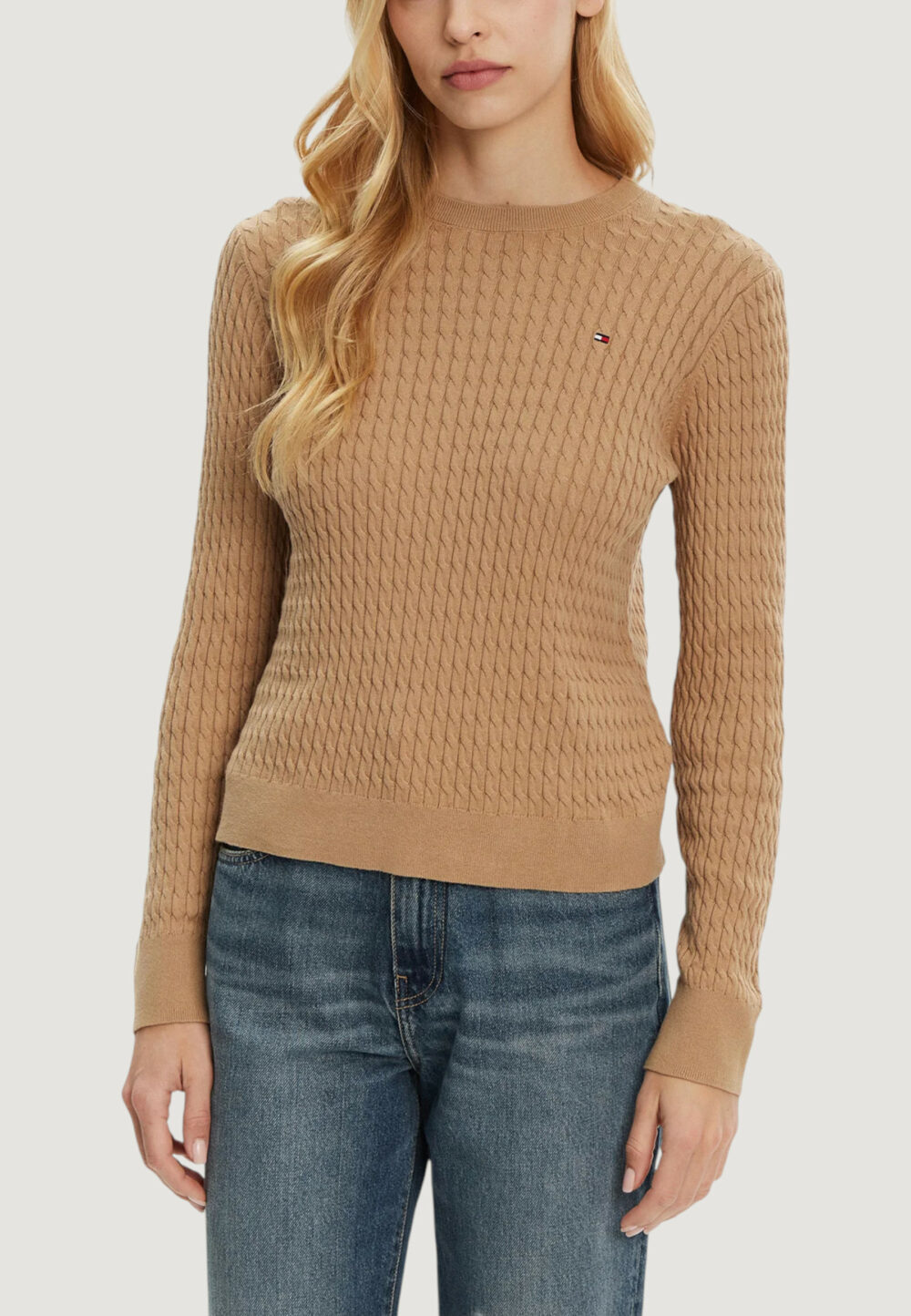 Maglione Tommy Hilfiger co cable fine gg c-n Beige scuro - Foto 1