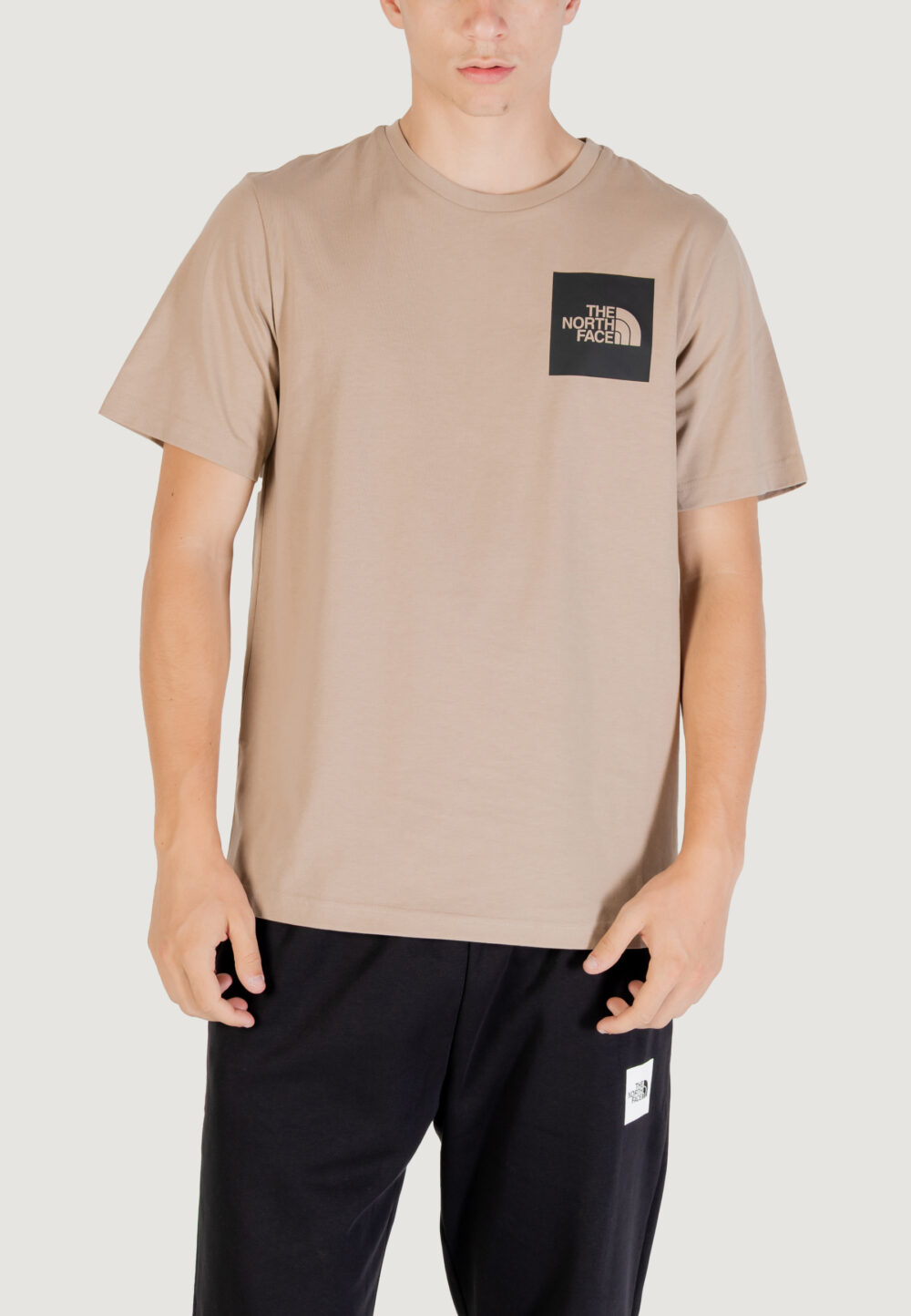 T-shirt THE NORTH FACE m ss fine tee Beige - Foto 1