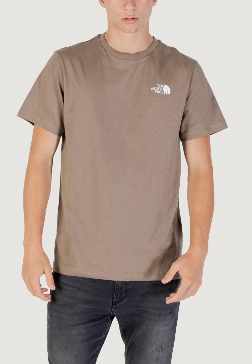 T-shirt THE NORTH FACE m ss simple dome tee Beige scuro - Foto 1