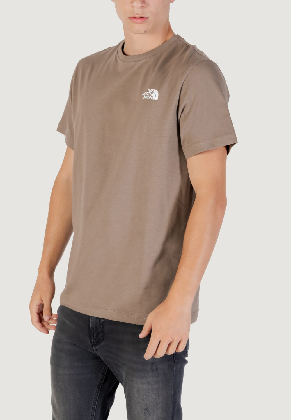 T-shirt THE NORTH FACE m ss simple dome tee Beige scuro - Foto 2