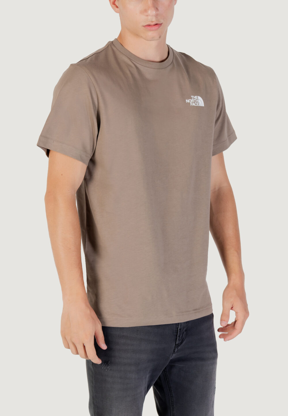 T-shirt THE NORTH FACE m ss simple dome tee Beige scuro - Foto 3