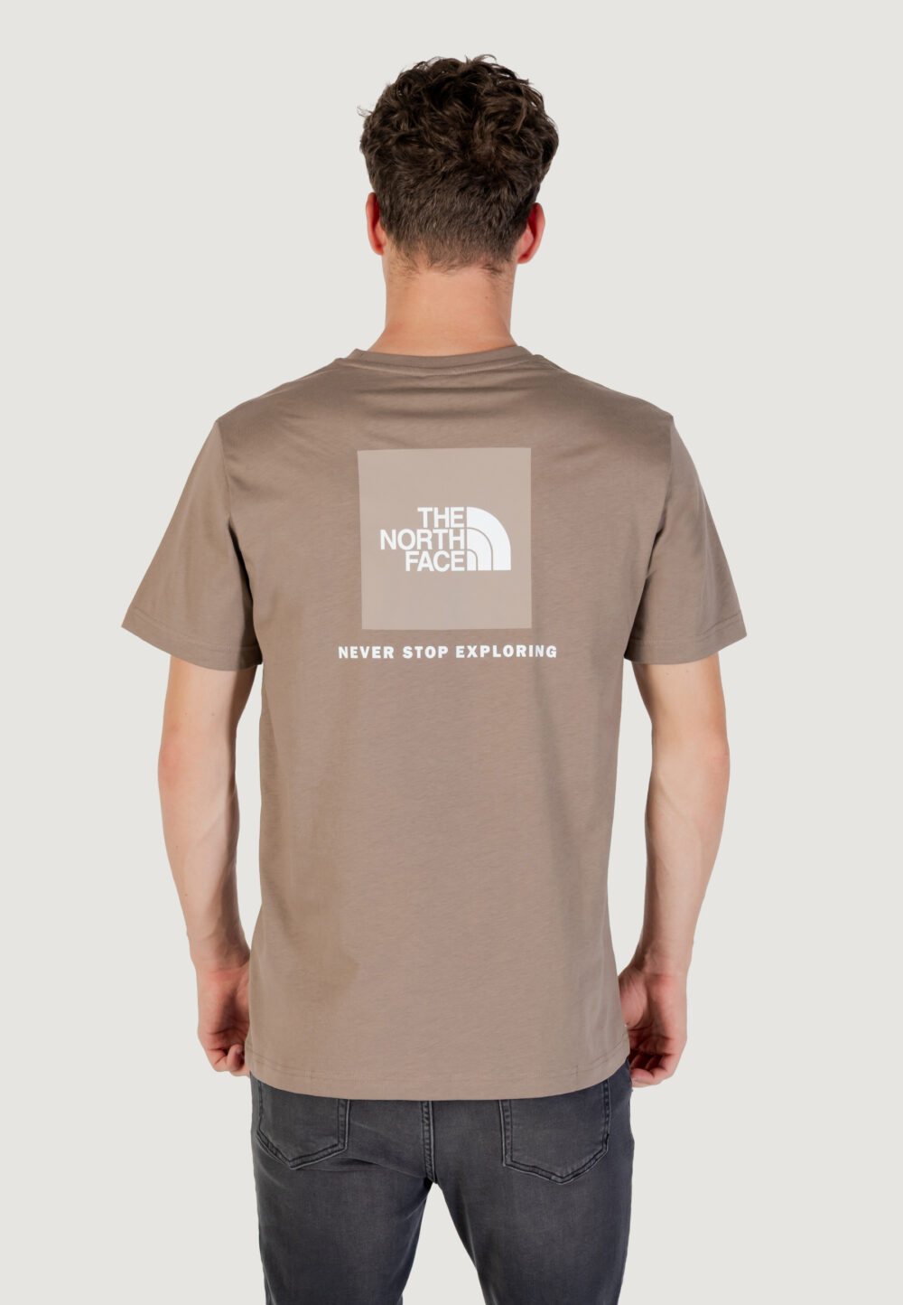 T-shirt THE NORTH FACE m ss simple dome tee Beige scuro - Foto 4