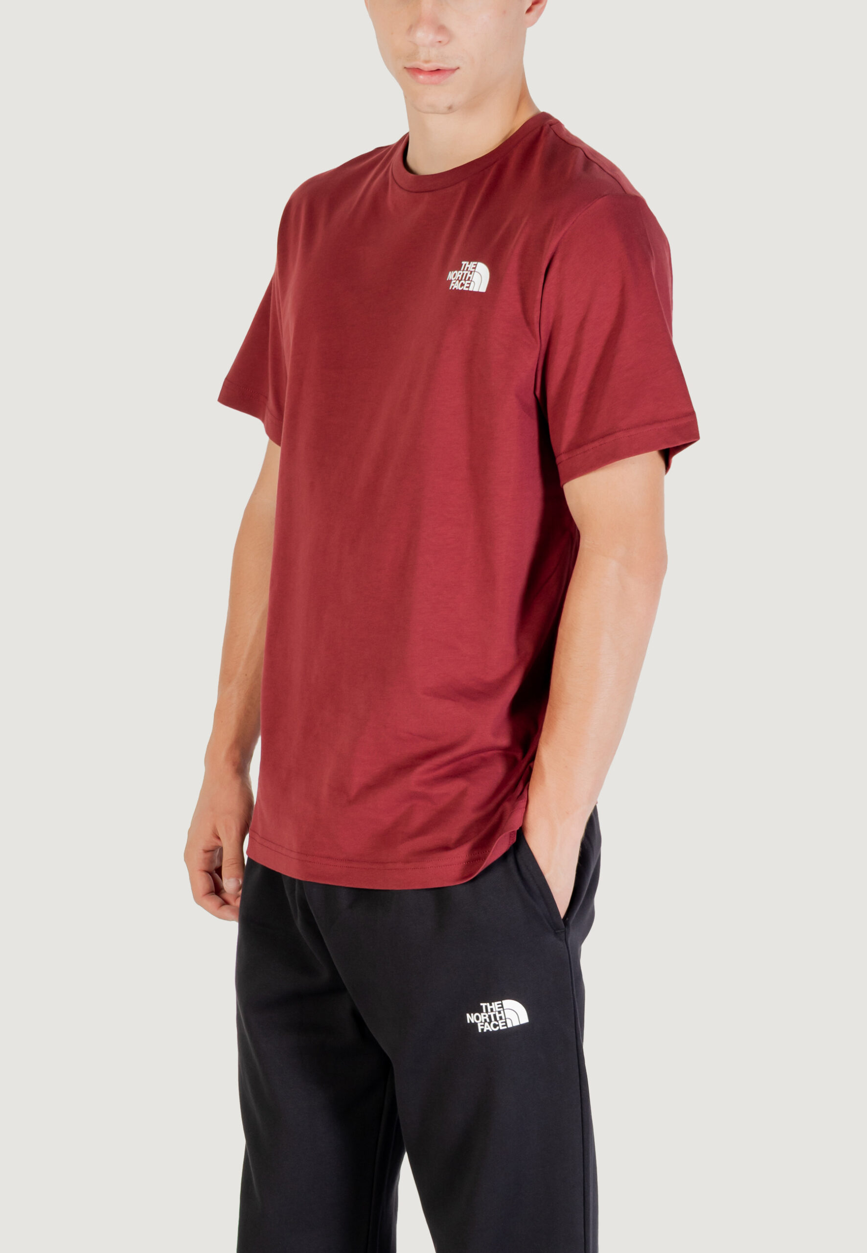 T-shirt THE NORTH FACE m ss box nse tee Bordeaux - Foto 2
