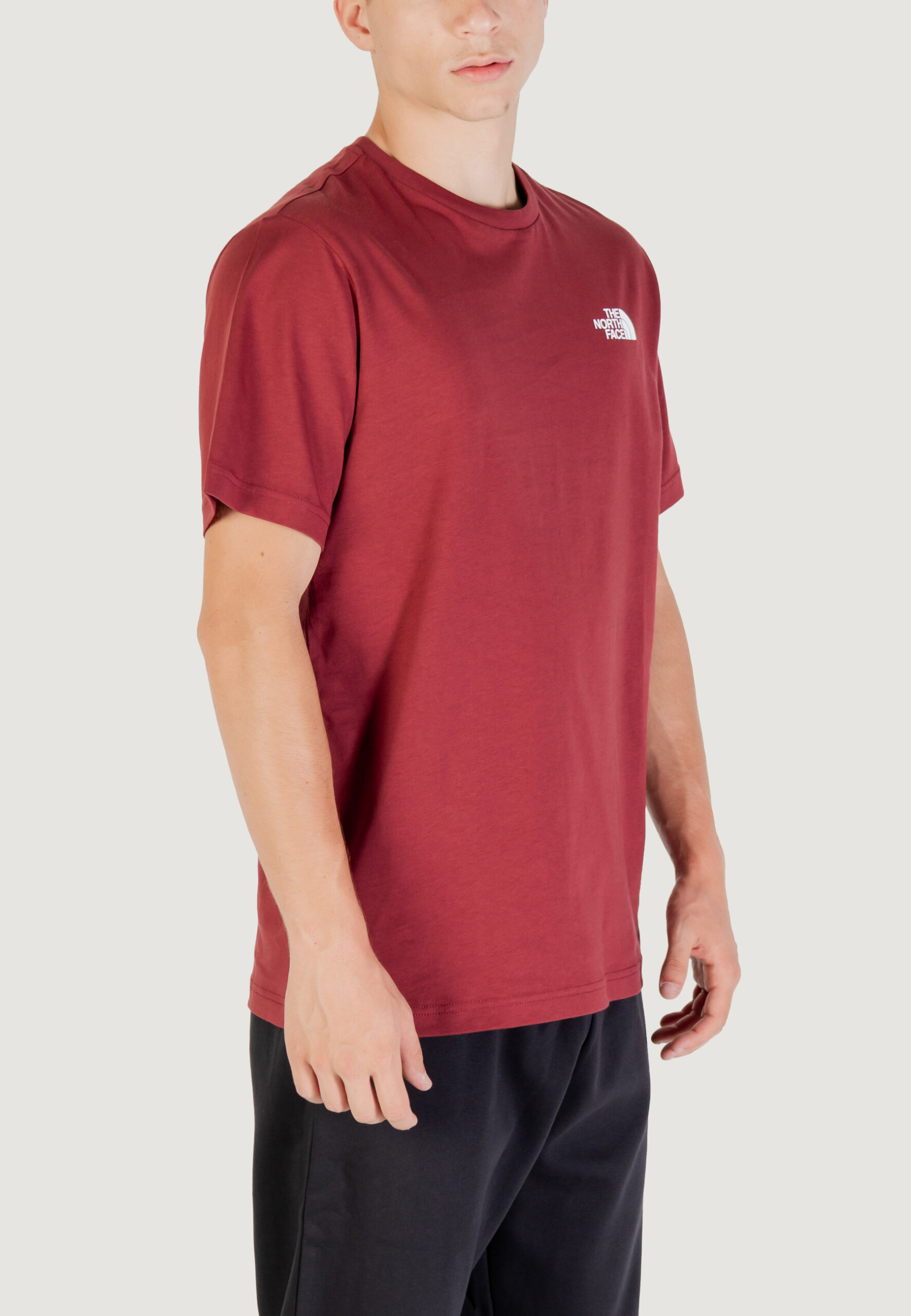 T-shirt THE NORTH FACE m ss box nse tee Bordeaux - Foto 3