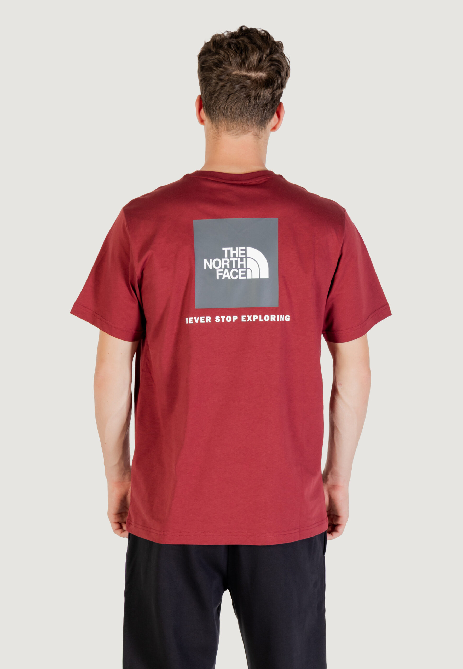 T-shirt THE NORTH FACE m ss box nse tee Bordeaux - Foto 4