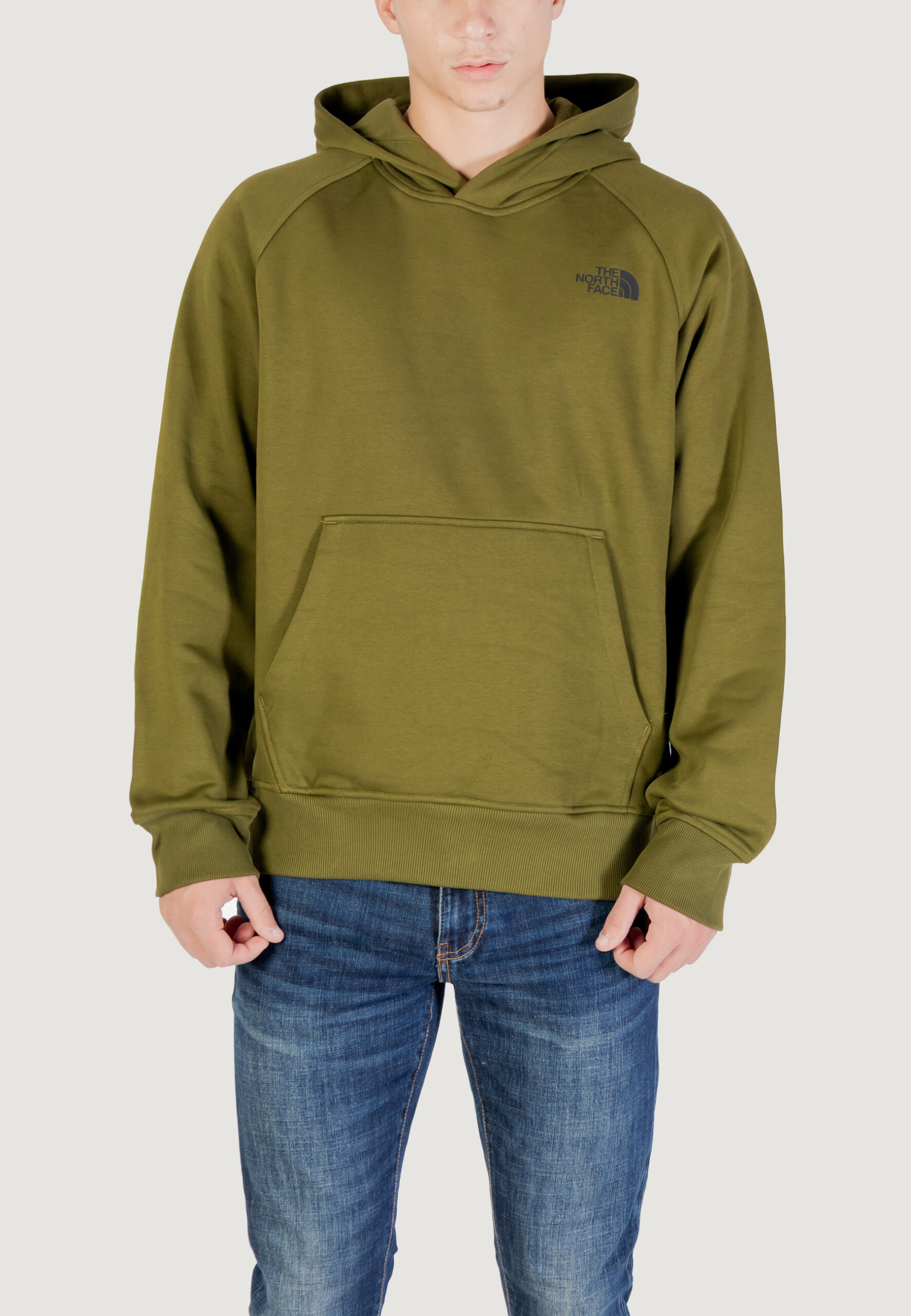 Felpa con cappuccio THE NORTH FACE m raglan box nse hoodie Verde - Foto 1