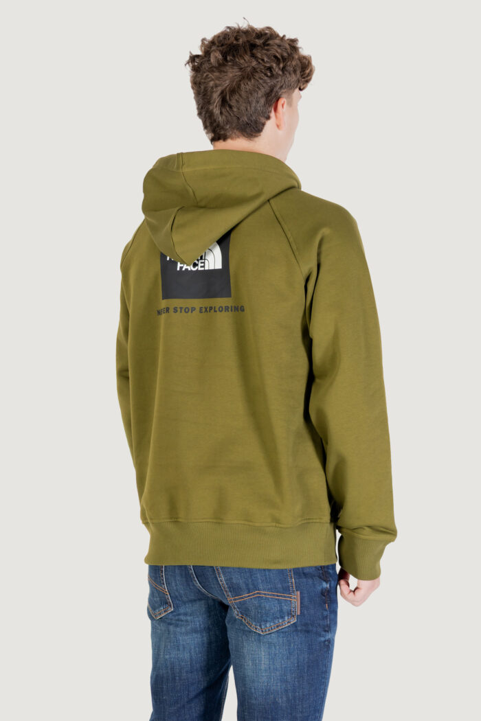 Felpa con cappuccio THE NORTH FACE m raglan box nse hoodie Verde