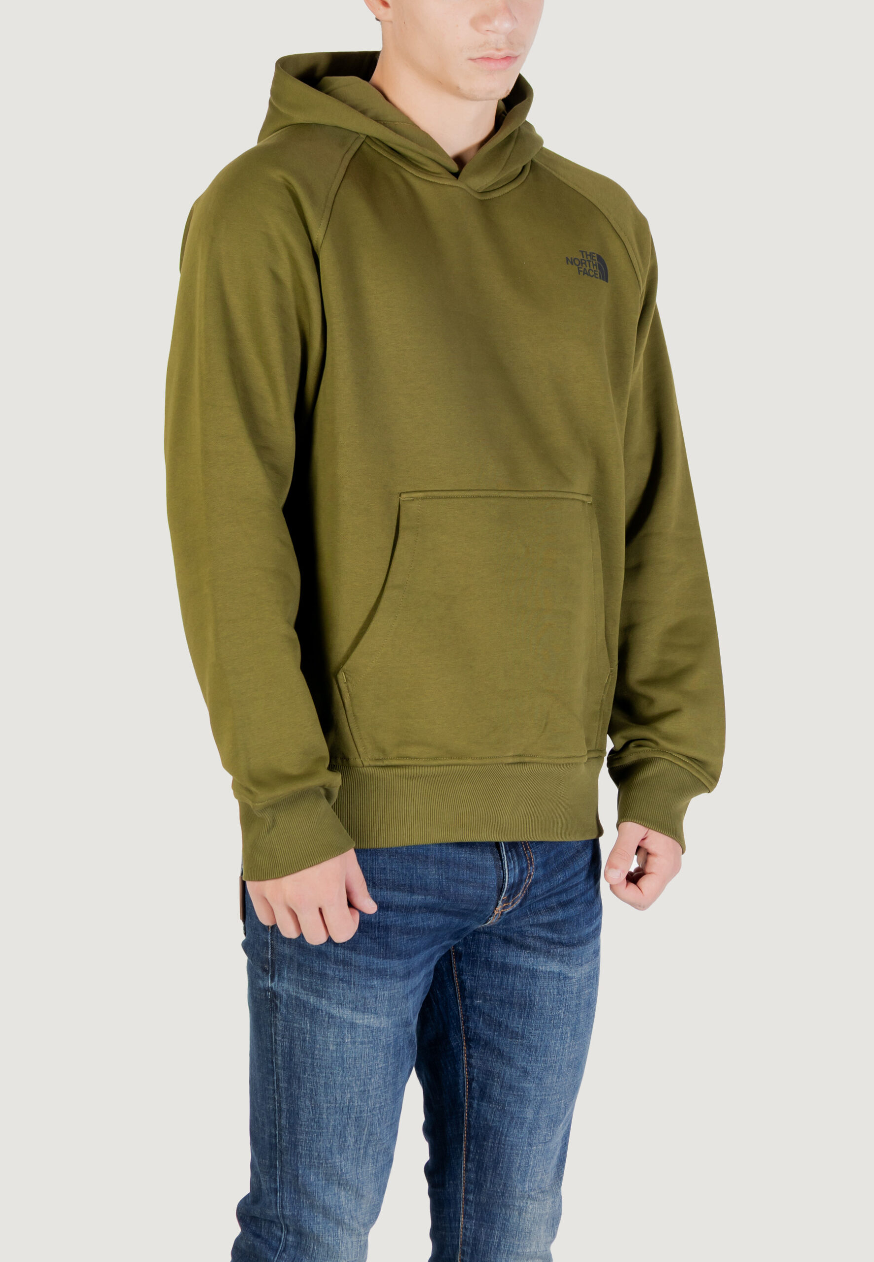 Felpa con cappuccio THE NORTH FACE m raglan box nse hoodie Verde - Foto 3