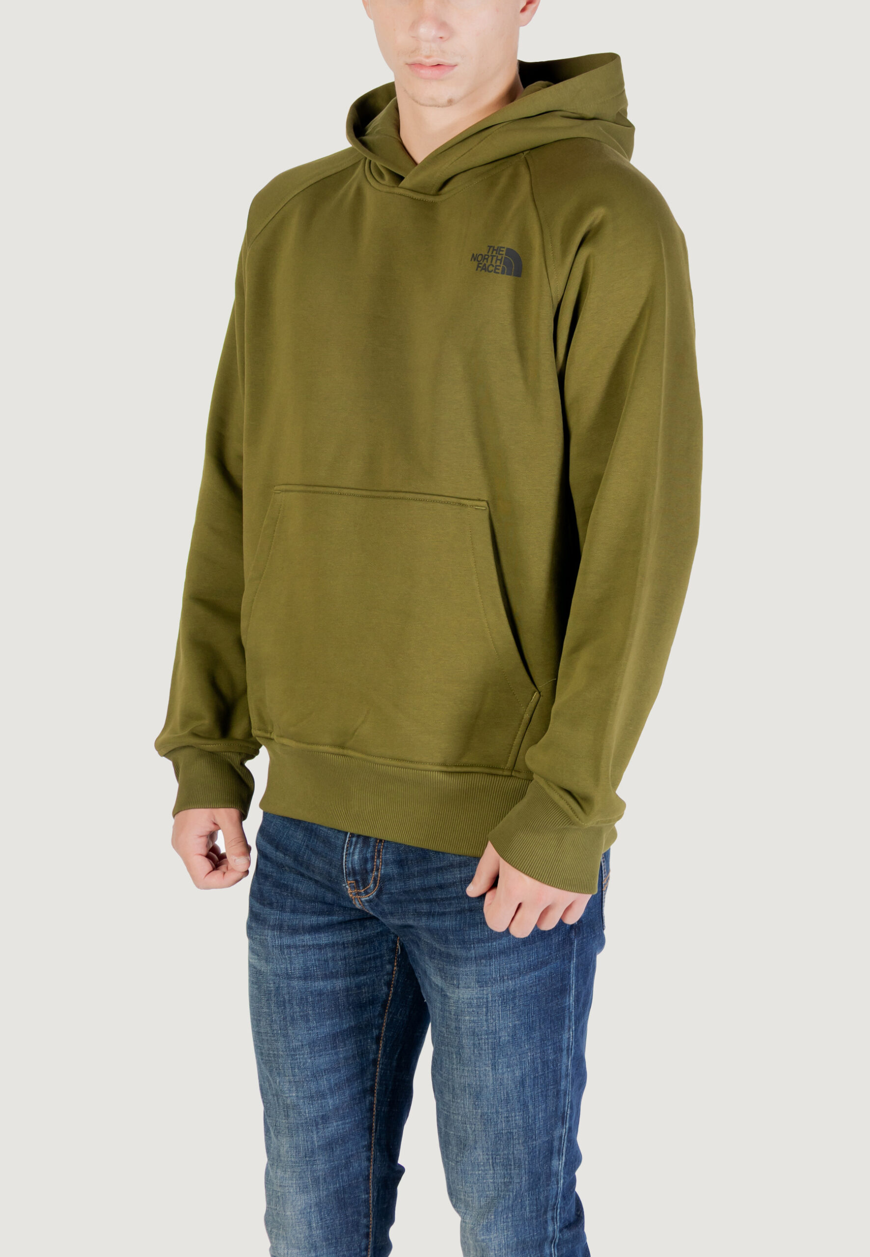Felpa con cappuccio THE NORTH FACE m raglan box nse hoodie Verde - Foto 4