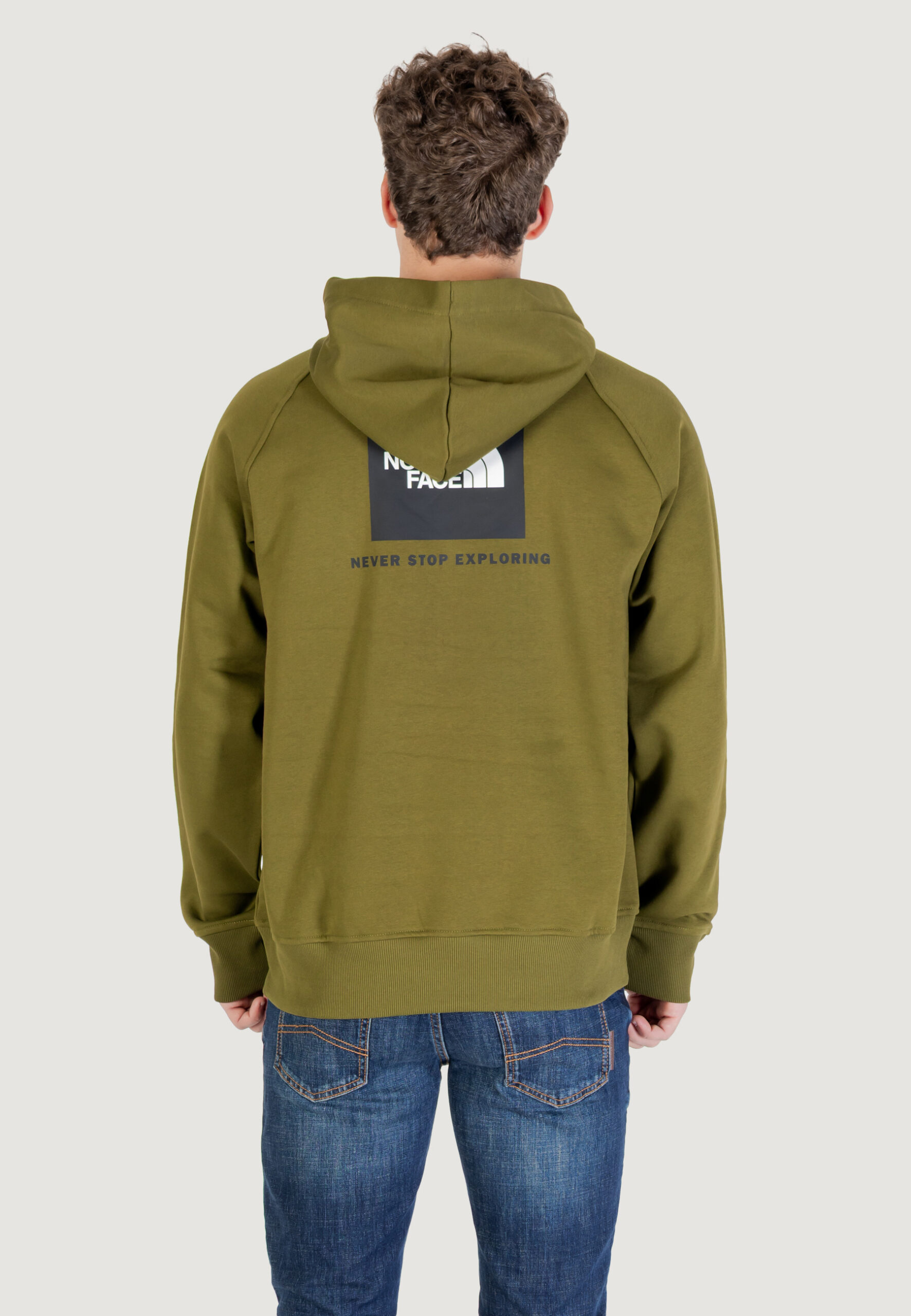 Felpa con cappuccio THE NORTH FACE m raglan box nse hoodie Verde - Foto 5