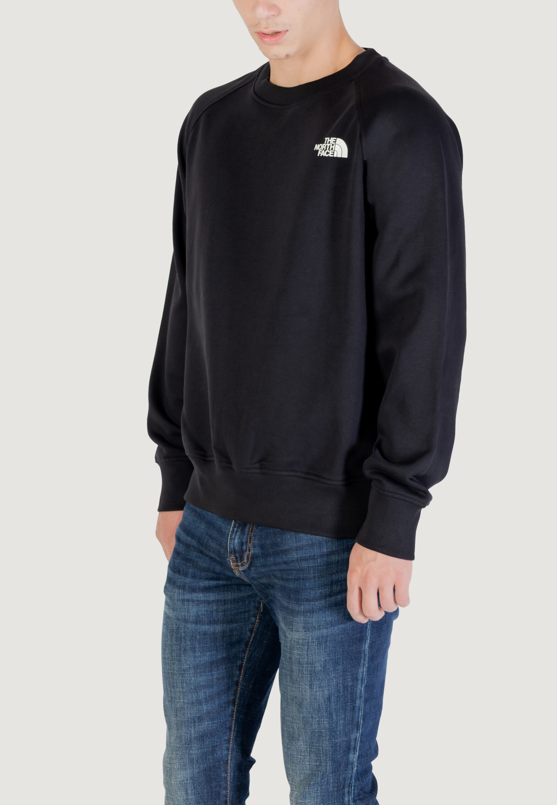 Felpa senza cappuccio THE NORTH FACE m raglan box nse crew Nero - Foto 2