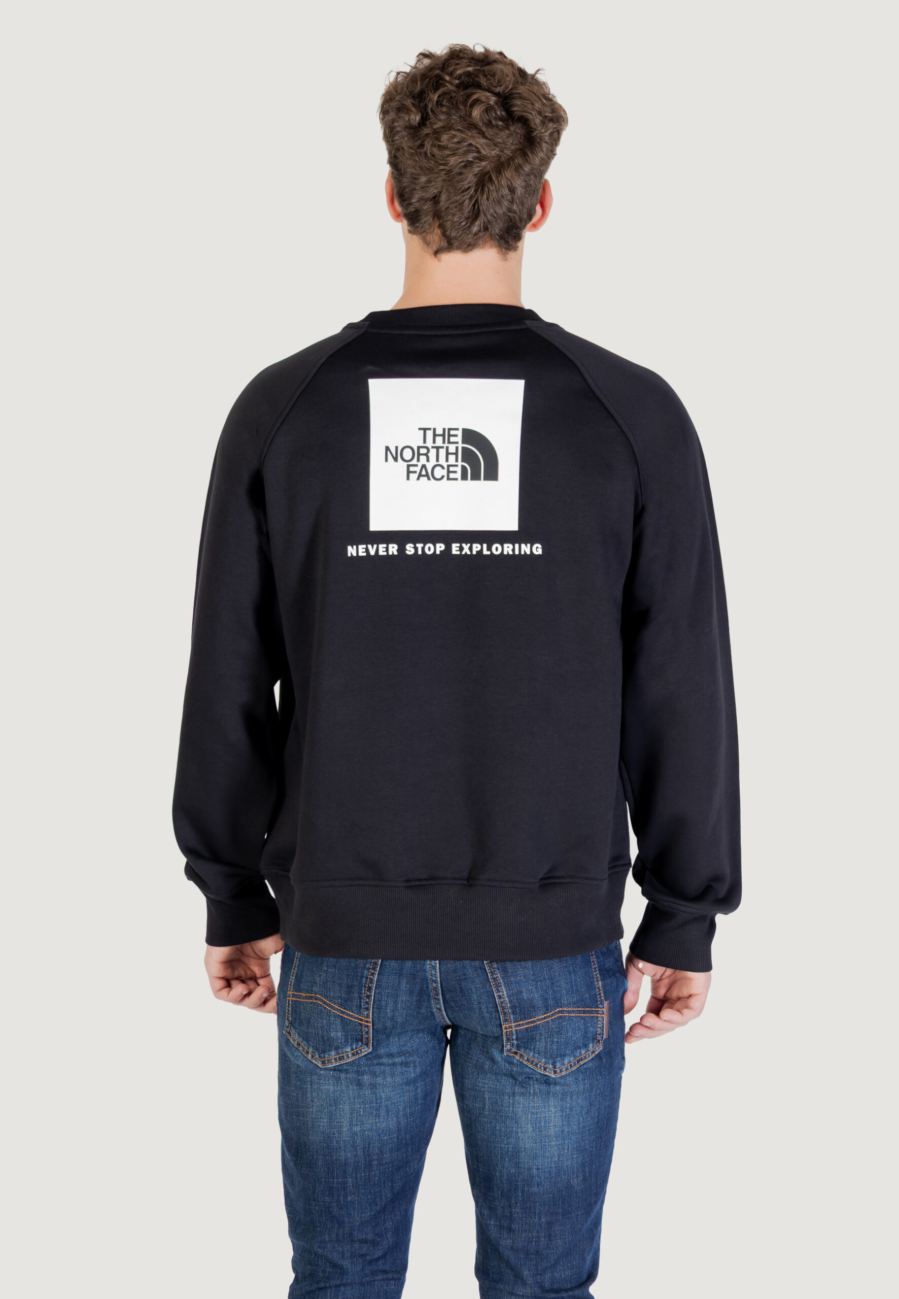 Felpa senza cappuccio THE NORTH FACE m raglan box nse crew Nero - Foto 4