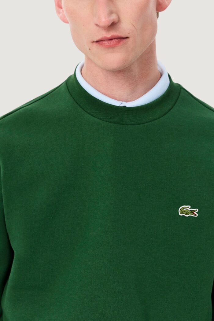 Felpa senza cappuccio LACOSTE sweatshirt Verde