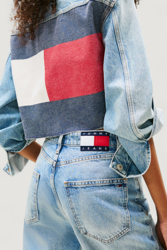 Jeans slim Tommy Hilfiger Jeans layla hr slim str cb Blue Denim Chiaro